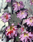 Erin McGee Ferrell - 'Maine Flower Farm Series IV'