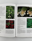 Native Plants of the Northeast