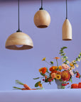 Bommel Trio Hanging Lamps - Bowl, Dome + Bulb