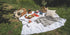 Summer Picnic