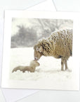 Ewe and Lamb Greeting Card - pack of 6