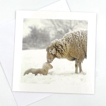 Ewe and Lamb Greeting Card