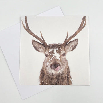 Deer Tongue Greeting Card