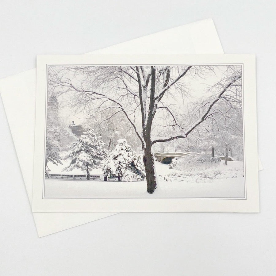 Central Park in Winter Greeting Card