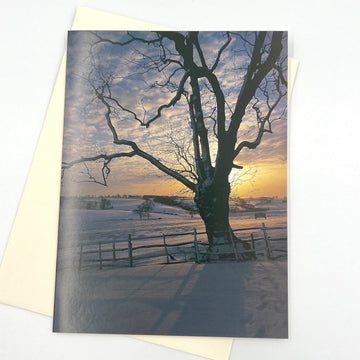 Sunset in Winter Greeting Card