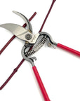 Classic Cut Branch & Stem Pruner - Corona