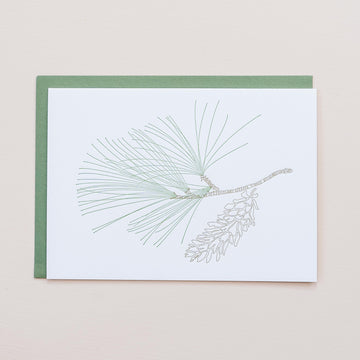 White Pine Greeting Card
