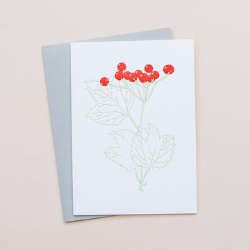Highbush Cranberry Greeting Card