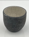 Raku Tumbler with Accents