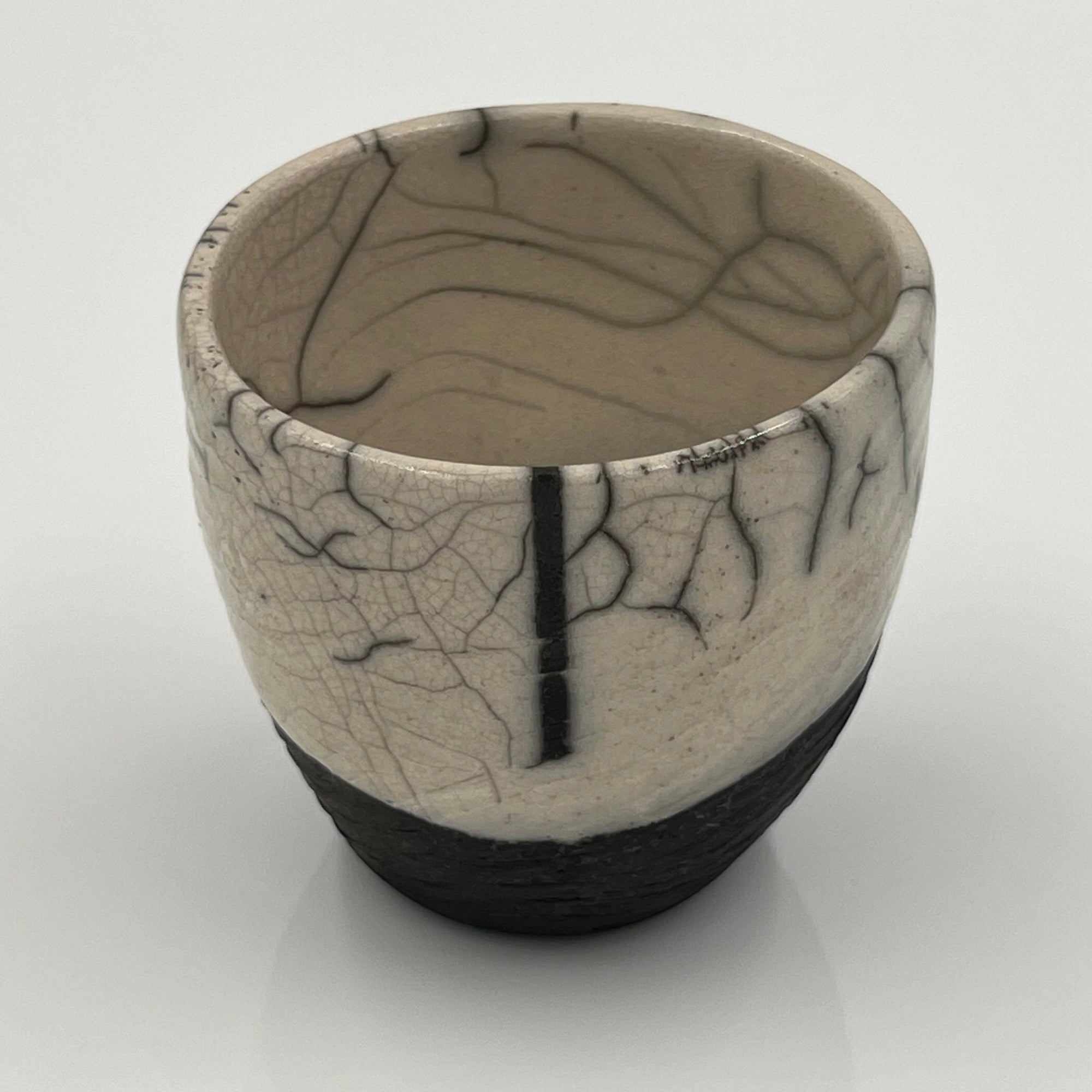 Raku Tumbler with Accents