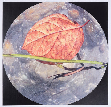 Frank Brockman 'Autumn Leaf In View'