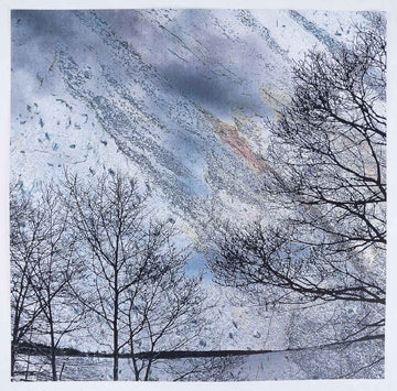 Frank Brockman - Winter Trees