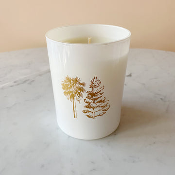 NEW: Coconut Wax Candles!! — East City Candles