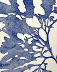 Blue Seaweed I - Collagraph Print