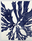 Blue Seaweed II - Collagraph Print