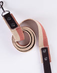 Handmade Dog Leash with Leather Handle and Vintage French Webbing